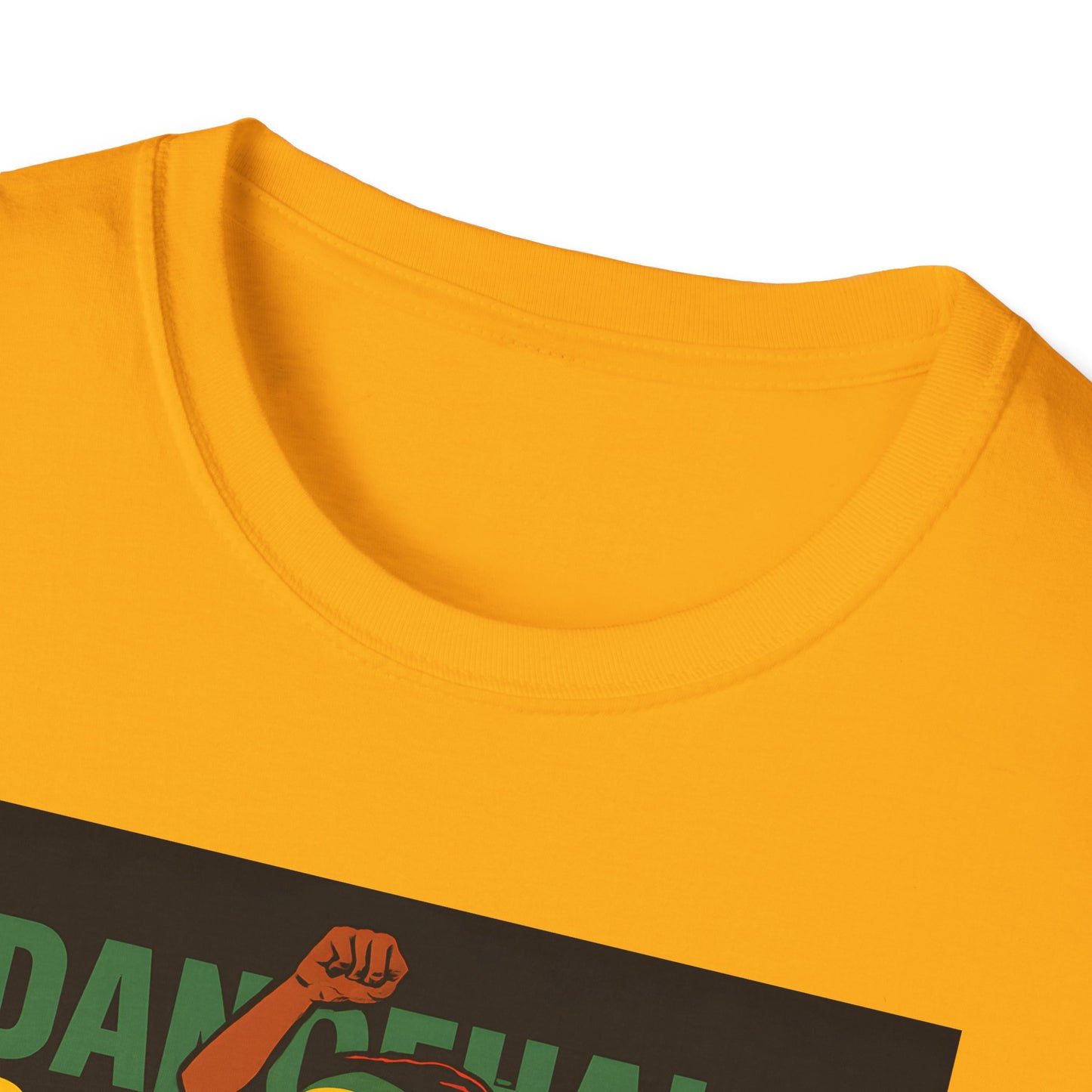 DanceHall Unisex Softstyle T-Shirt, Reggae Vibe Tee, Music Festival Top, Party Apparel, Gift for Music Lovers, Casual Wear